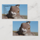 Carte De Visite Frilles orientales (Devant / Derrière)