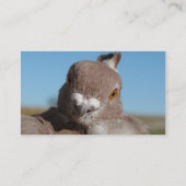 Carte De Visite Frilles orientales (Dos)