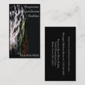 Carte De Visite Frison mystique (Devant / Derrière)