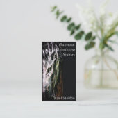 Carte De Visite Frison mystique (Debout devant)