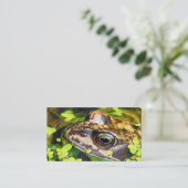 CARTE DE VISITE FROG (Debout devant)