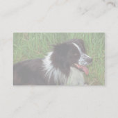 Carte De Visite Frontière Collie dans l'herbe (Dos)