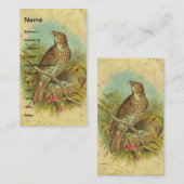 Carte De Visite Fruit Vintage (Devant / Derrière)