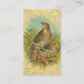Carte De Visite Fruit Vintage (Dos)