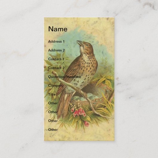 Carte De Visite Fruit Vintage (Devant)