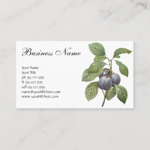 Carte De Visite Fruits alimentaires vintage, prunes de jardin viol