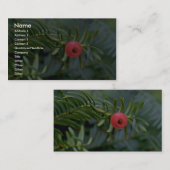 Carte De Visite Fruits arboricoles d'if (brevifolia de taxus) (Devant / Derrière)