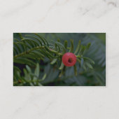 Carte De Visite Fruits arboricoles d'if (brevifolia de taxus) (Dos)