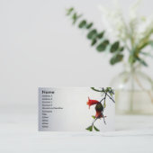 Carte De Visite Fruits d'incidence/carte de profil (Debout devant)