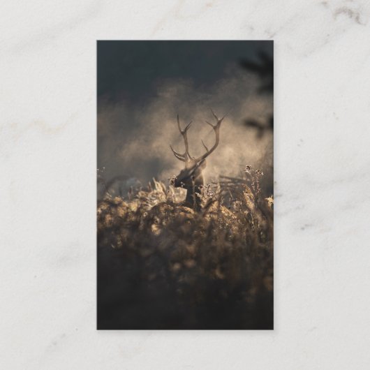 Carte De Visite Funérailles Mémorial Automne Mist Prière Sympathie (Devant)