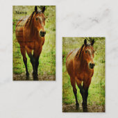 Carte De Visite Funny Bay Horse (Devant / Derrière)