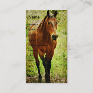 Carte De Visite Funny Bay Horse
