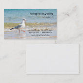 Carte De Visite Funny seagull (Devant / Derrière)