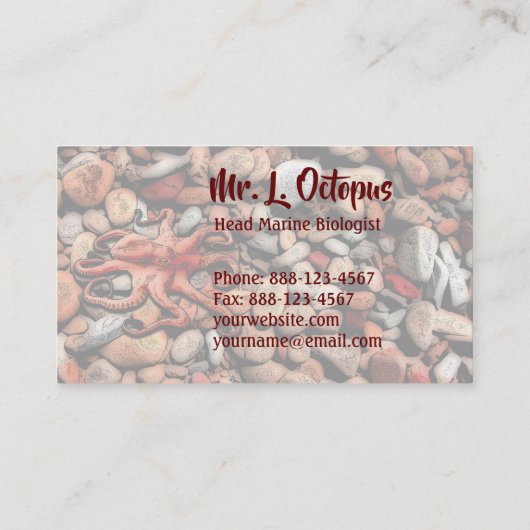 Carte De Visite Galets de pieuvre (Dos)