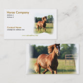 Carte de visite galopant de cheval (Devant / Derrière)