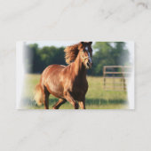 Carte de visite galopant de cheval (Dos)