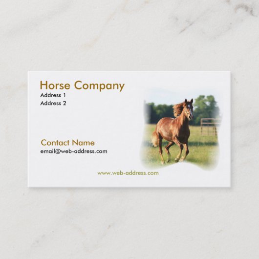 Carte de visite galopant de cheval (Devant)