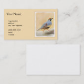 Carte De Visite Gambrel's Quail Painting Original Bird Art (Devant / Derrière)
