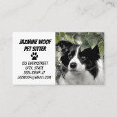 Carte De Visite Garde d'animaux Promeneur de chien (Devant)
