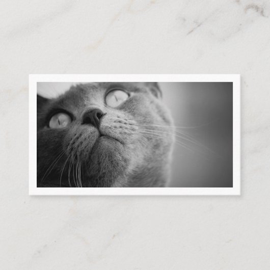 Carte De Visite Garde d'animaux simple moderne (Devant)