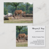 Carte De Visite Gazelle, zoo d'animaux sauvages, 羚. (Devant / Derrière)