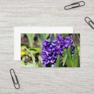 Carte De Visite Géocinthe bleu au printemps