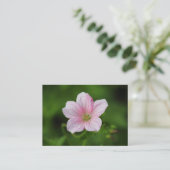 Carte De Visite Géranium (Debout devant)