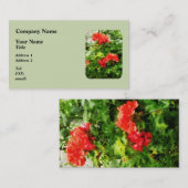 Carte De Visite Géraniums rouges (Devant / Derrière)