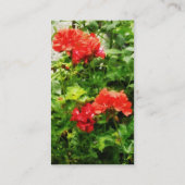 Carte De Visite Géraniums rouges (Dos)