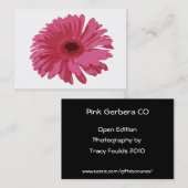 Carte De Visite Gerbera rose Co ACEO (Devant / Derrière)