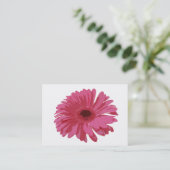 Carte De Visite Gerbera rose Co ACEO (Debout devant)