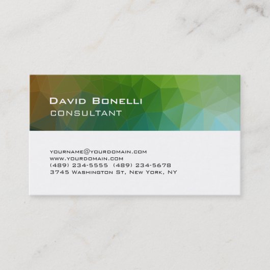 Carte De Visite Gestionnaire de consultant Creative Green White (Devant)
