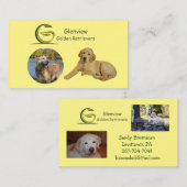 Carte De Visite Glénview Golden Retrivers (Devant / Derrière)