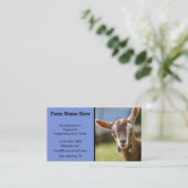 Carte De Visite Goéland laitier de Toggenburg (Debout devant)