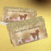 Gold Chien Grooming Parties scintillant Services p