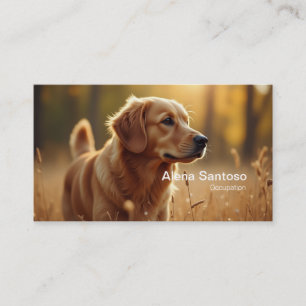 Carte De Visite Golden Retriever Chien
