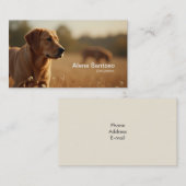 Carte De Visite Golden Retriever Chien (Devant / Derrière)