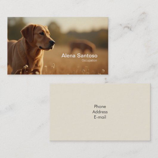 Carte De Visite Golden Retriever Chien (Devant / Derrière)