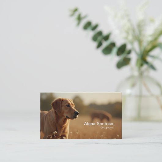 Carte De Visite Golden Retriever Chien (Debout devant)