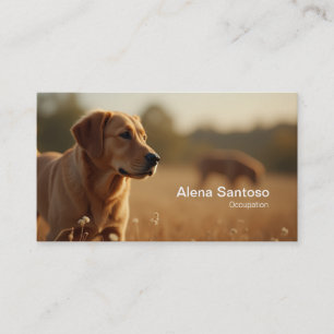 Carte De Visite Golden Retriever Chien