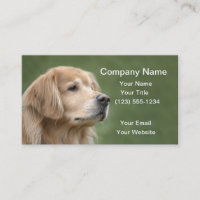 Golden retriever en plan rapproché