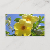 Carte De Visite Golden Trumpet (Dos)