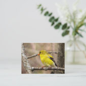 Carte De Visite Goldfinch ATC (Debout devant)