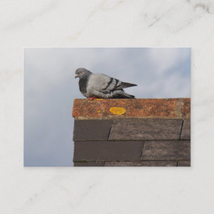 Carte De Visite Good Morning Pigeon
