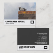 Carte De Visite Good Morning Pigeon (Devant / Derrière)