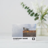 Carte De Visite Good Morning Pigeon (Debout devant)