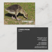 Carte De Visite Gosling (Devant / Derrière)