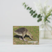 Carte De Visite Gosling (Debout devant)