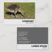 Carte De Visite Gosling (Devant / Derrière)