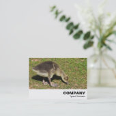 Carte De Visite Gosling (Debout devant)